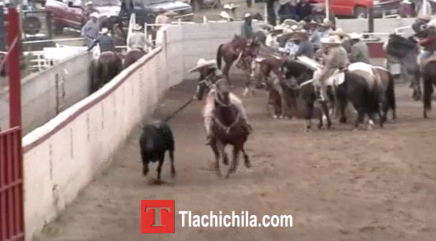 Primeras Coleadas, Coleadera Tlachichila 2014